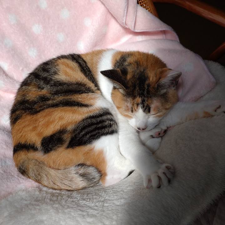 Dbbb17b6 7827 41b9 a6fc 3365e03f217e 1633753791177