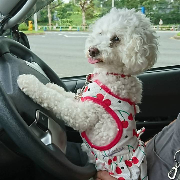 Dbbb20cb 6ee6 4e68 8bb3 55a7b7acdcad 1563702690473