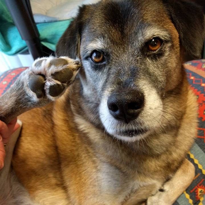 Dbbb3888 5512 42f5 8359 2d765fb04fec 1690070566143