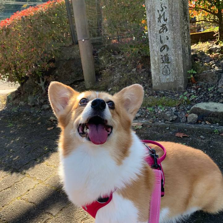 Dbbb3ef3 ad3c 44d3 be25 98ca708d2245 1636077862187