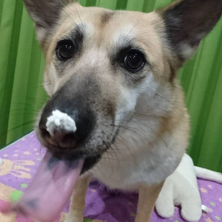 Dbbb5230 ba67 4e84 868d 0dcfa638b48c 1526724660715