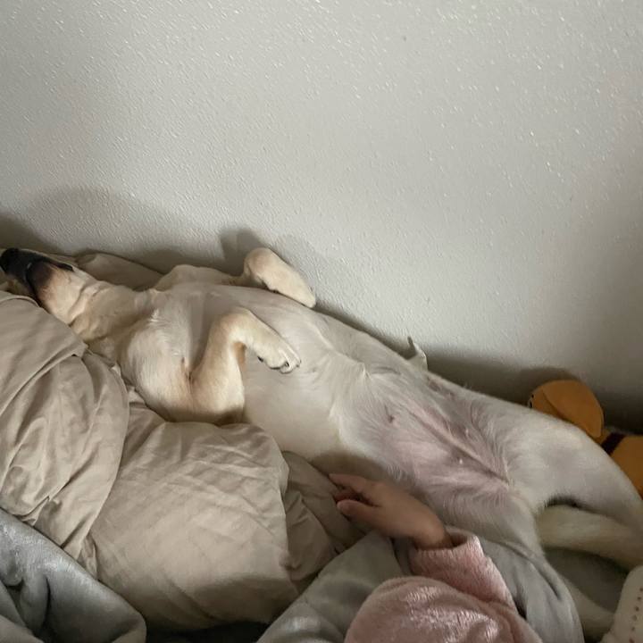 Dbbb6942 62ba 4ca9 bcf6 823f521731de 1640744133773