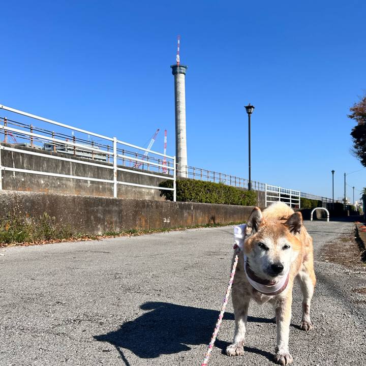 Dbbb8b31 6b83 41d7 90e1 ec1d6b164484 1764130545586