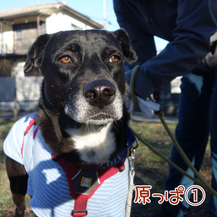 Dbbb9d7b bb7a 4b9f b42b e29d8b763721 1671414263064