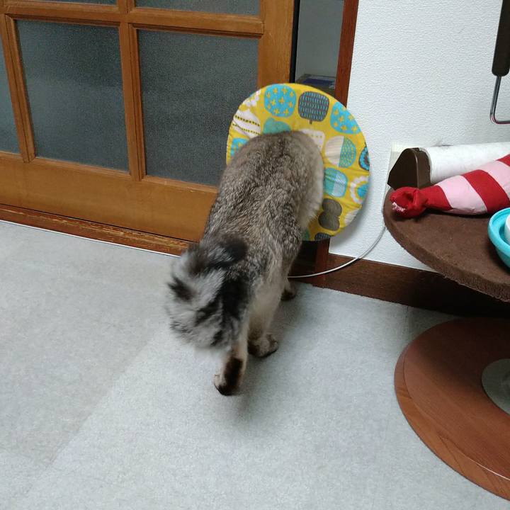 Dbbbf3d3 6ee4 4e85 947d 1c4fd17acb36 1691078478932