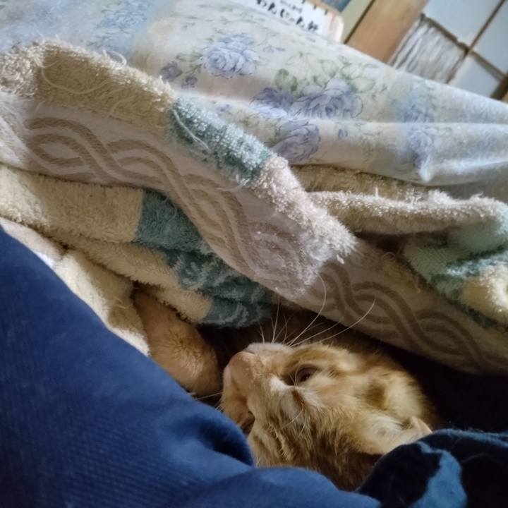 Dbbc0352 7383 47d4 9d73 452c1563df7f 1681853193759