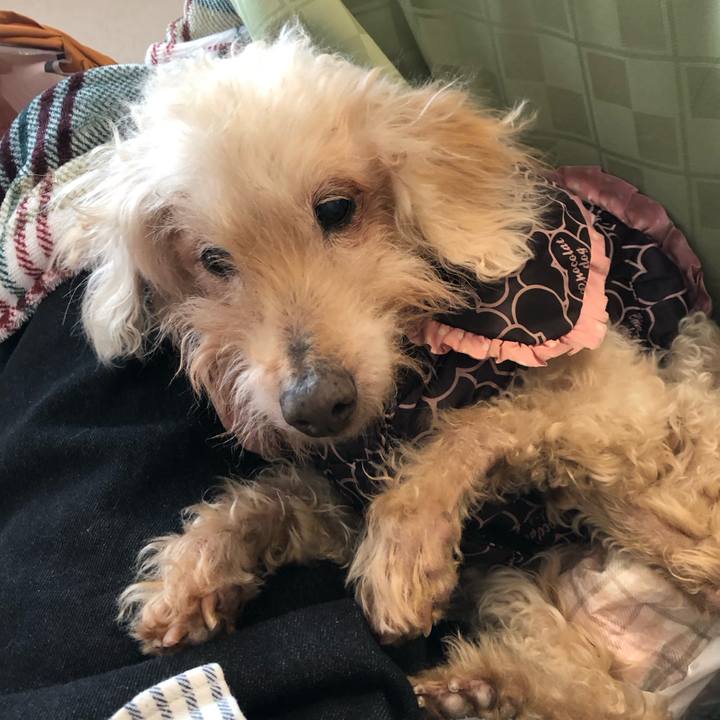 Dbbc0f3f 3158 44e1 a36e c09ea893aa88 1734962715231