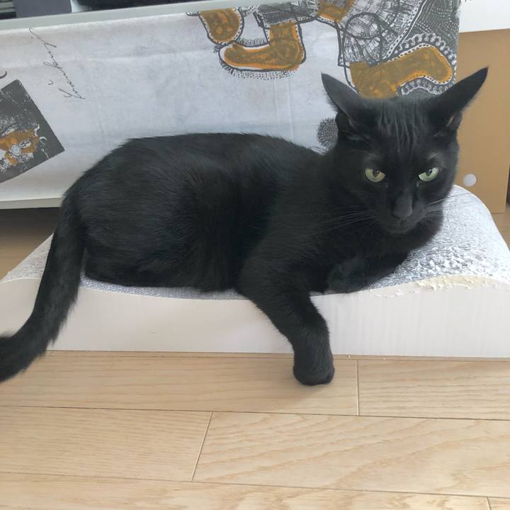 Dbbc3bf9 f770 4519 b16c f618056c0c6a 1624271528484