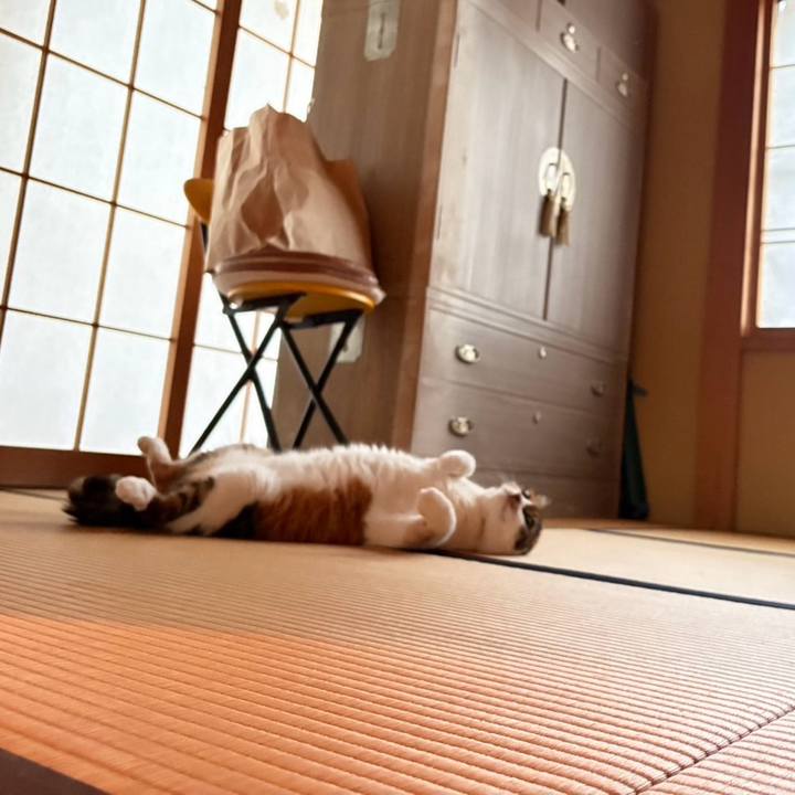 Dbbc4f85 2fd3 4d41 80c9 6a79b1e6be2a 1755253778800