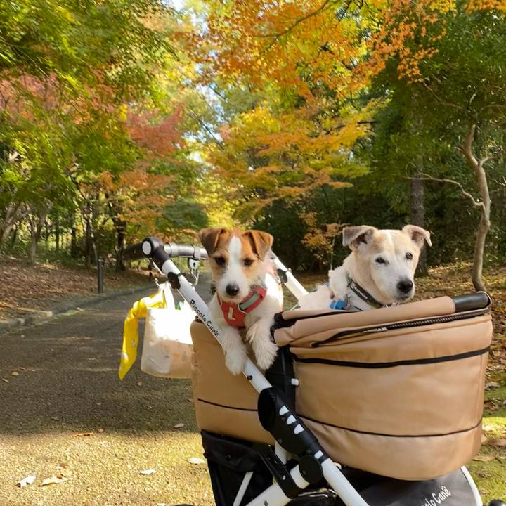 Dbbc7c7d bc05 4e4f b82b 4a8cd179d502 1700721456915