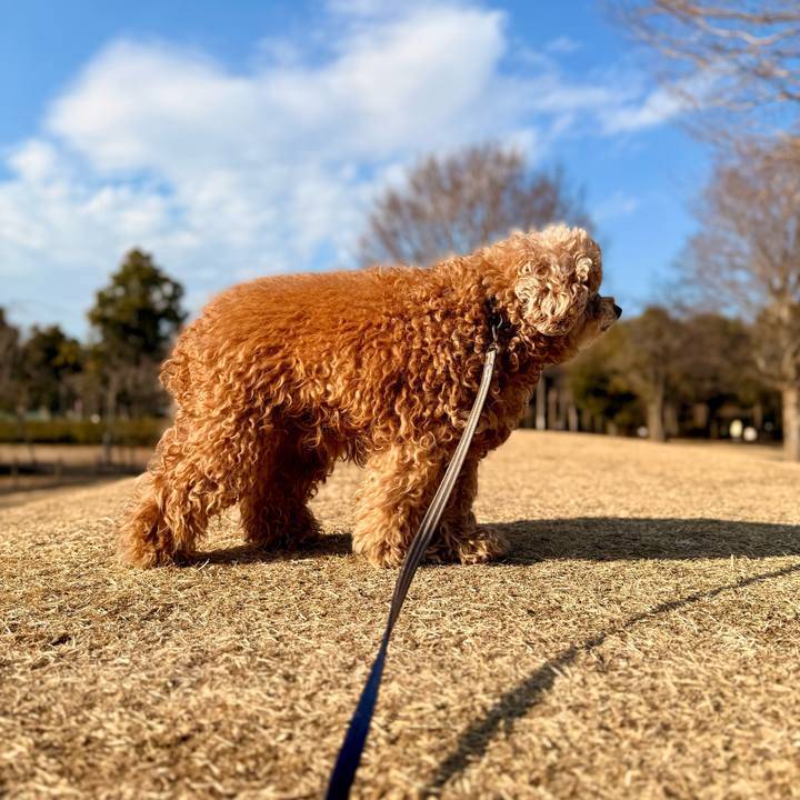 Dbbc9e2c 53bc 4b7d a06b ea580356a139 1770984889556