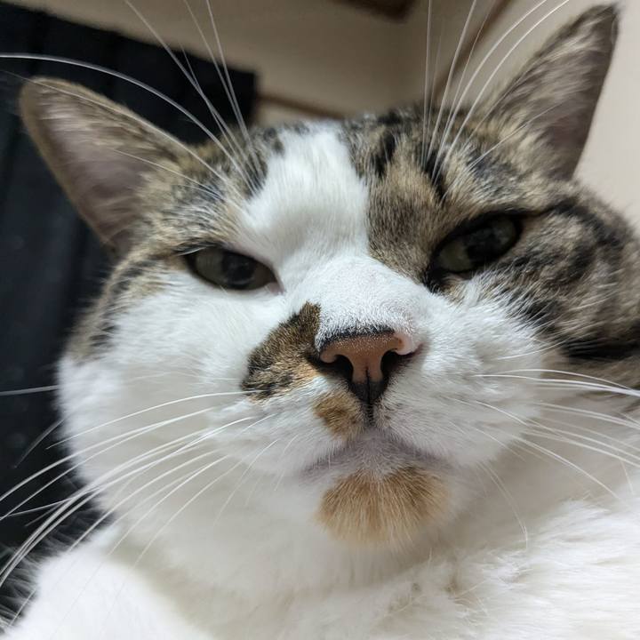 Dbbcac6c 988a 444c 97f7 bb398b8f8303 1726007645656