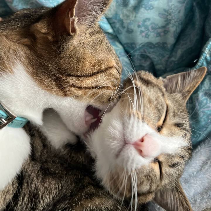 Dbbcbee8 8b9a 4f10 af7f a42568c0ec2d 1667924579755