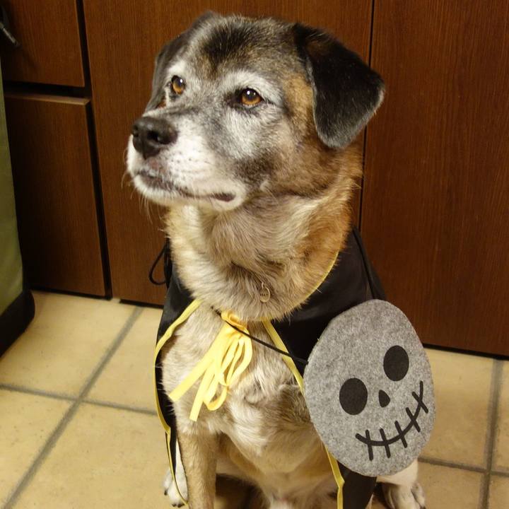 Dbbcd85b 6139 49e2 a5a6 ee86bb898f57 1650069528703