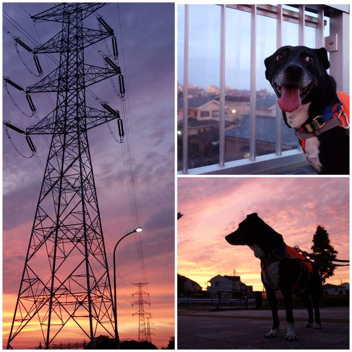 Dbbd05cd c8e5 4bda 8812 ceb71387c5f2 1716463121096