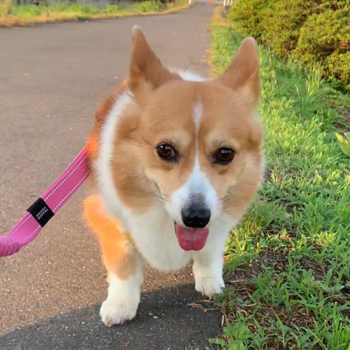 Dbbd2c27 1f41 45dc 950b ca555ac7984d 1623273321159