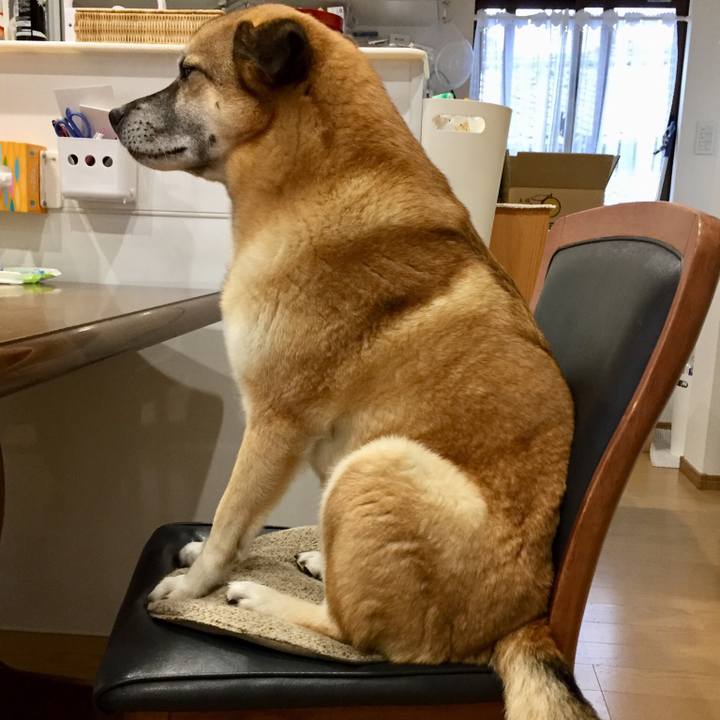 Dbbd99ae 7306 497c b323 216431e64ed3 1520554275128