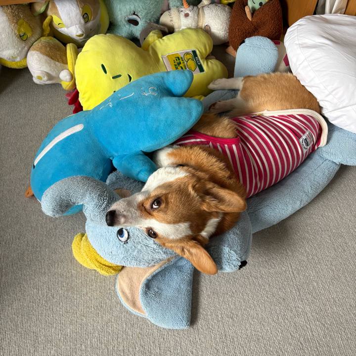 Dbbdb0a5 9986 450c 80ce 441a8dd23b4e 1771901668624