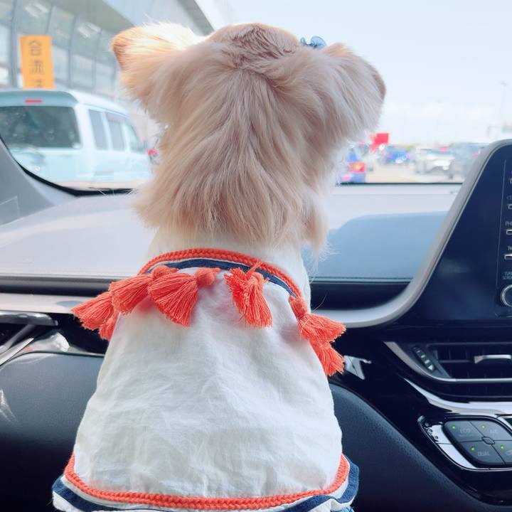 Dbbdb29c 0530 4c1c 86c5 05bc051fdc5d 1746427461724