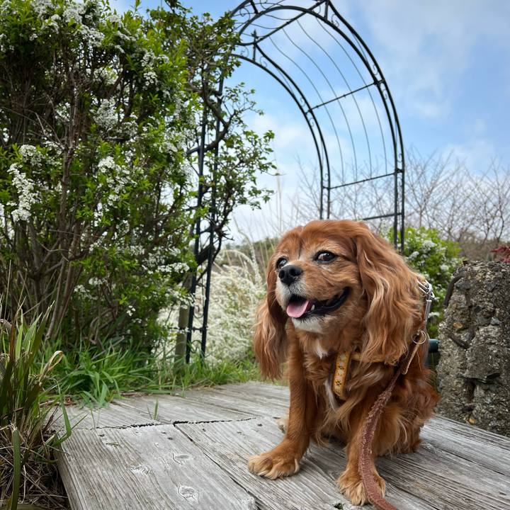 Dbbde494 318a 414d b501 e70a4c72b981 1711845224663