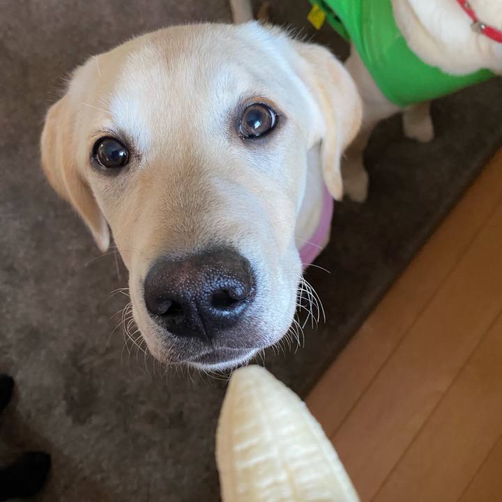 Dbbdfb95 755f 4ad9 bcbe 1a0a4cf94dce 1617783190873