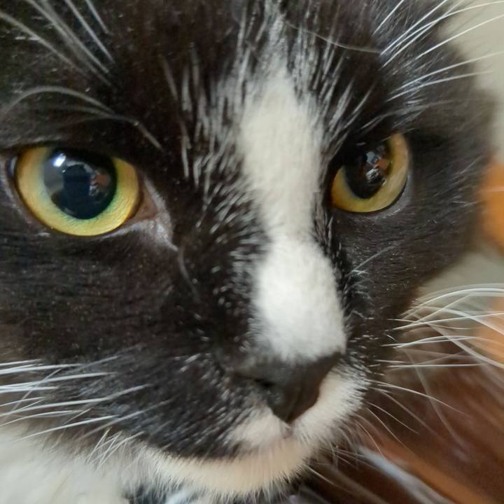 Dbbe2046 015d 4521 8bd8 8ffca3799b00 1666096530051