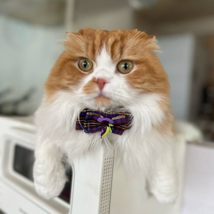 Dbbe37a5 69fe 4828 b651 8b33825fa3e9 1696988165953