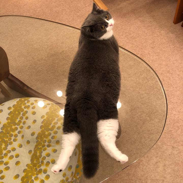 Dbbe3d32 181d 4c15 a469 43943ab450d0 1541762916179