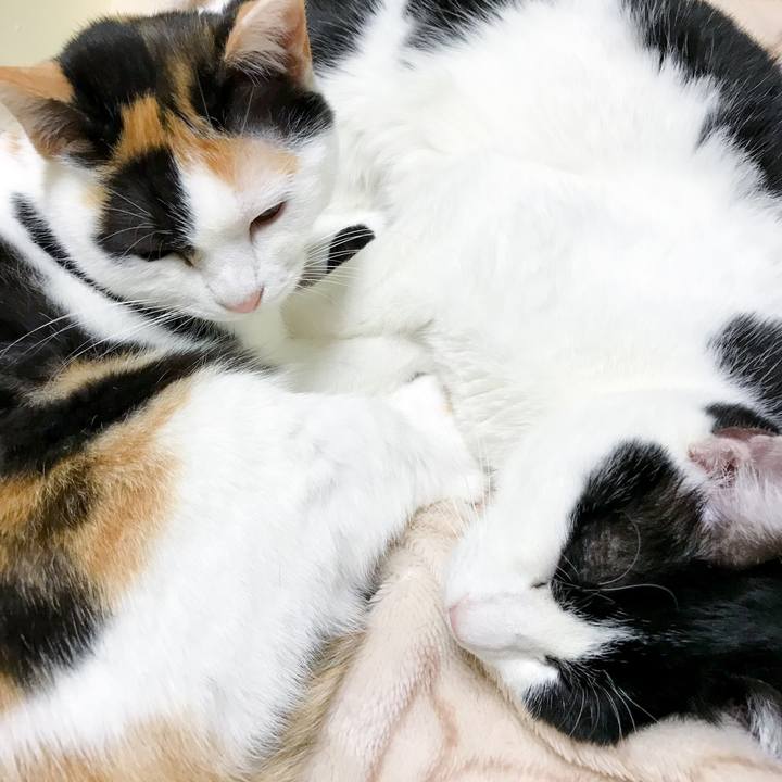 Dbbe885c 5ea2 4a6c 956a 9041333f925f 1514626204706