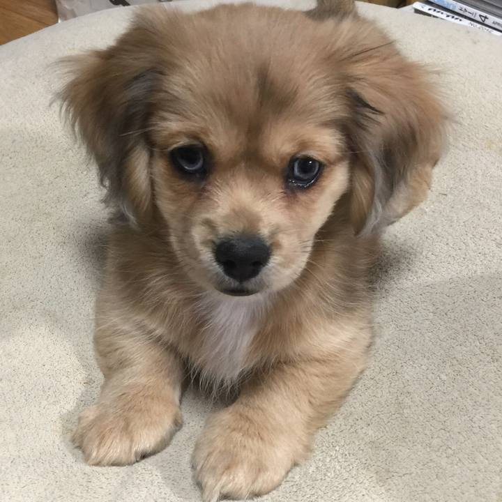 Dbbeba95 73fa 4f46 b819 e7d19dbb1ab1 1572227955798