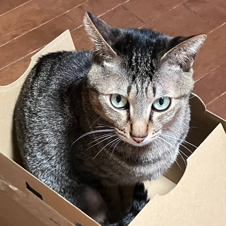 Dbbec863 3d52 486c 9dc2 96c281312d66 1770423418996