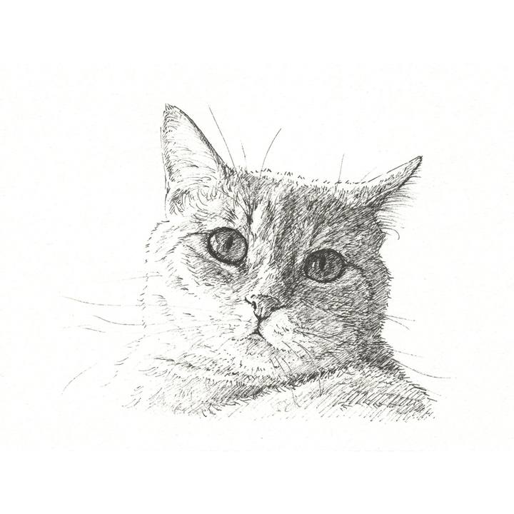 Dbbecbf1 3474 4299 b011 2729894a5012 1564238808689