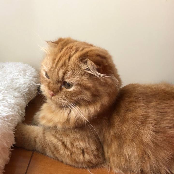 Dbbed622 39d0 40b1 8c75 ea856b8c12ca 1531468822359