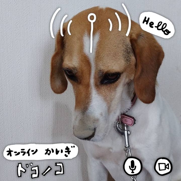 Dbbef4ec 7fa1 42ae 88dc ee08f9b45d4d 1594008736123