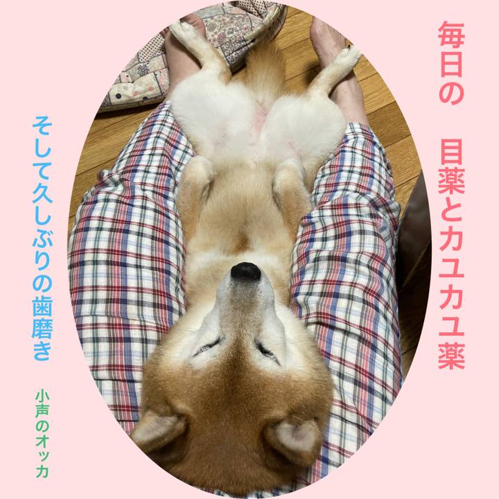 Dbbf2855 02c8 4533 871a 06083ac50636 1721394436328