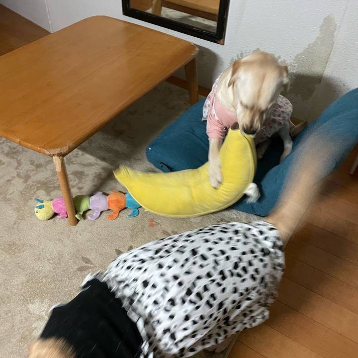 Dbbf32f5 d570 4f32 9630 1d204b530bee 1640037724067