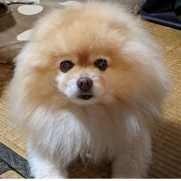 Dbbf3ac9 aa82 44ae 9a35 305d1ac6fa3d 1655085808907