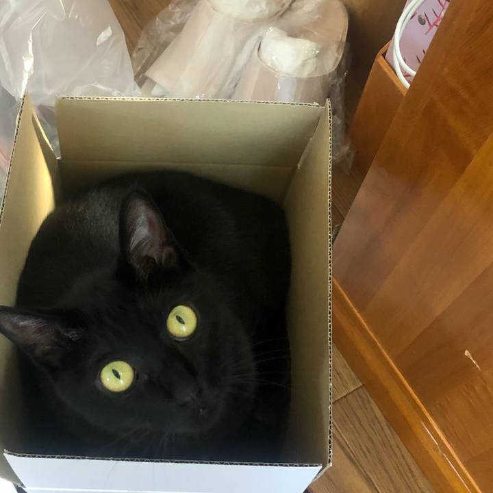 Dbbf5854 8353 4832 b16a 673e22195e6f 1623373361264