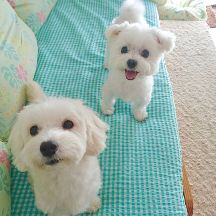 Dbbf5a40 5d83 4703 90c4 a3d6354d4267 1567123860985