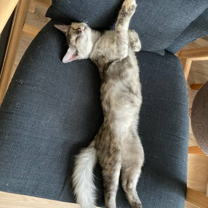 Dbbf8d7b 19bf 465f 9444 f686c67178d0 1695702300253