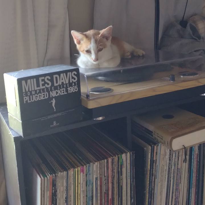 Dbbfad35 0382 41a4 8741 647c3827061b 1725945386556