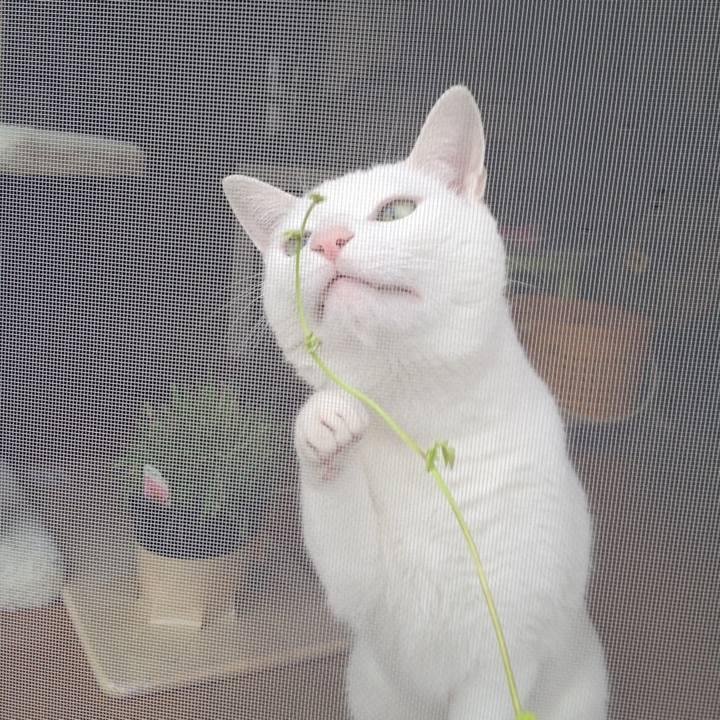 Dbbfbee0 330f 47e6 b473 5fbf1f9b0855 1759094657801