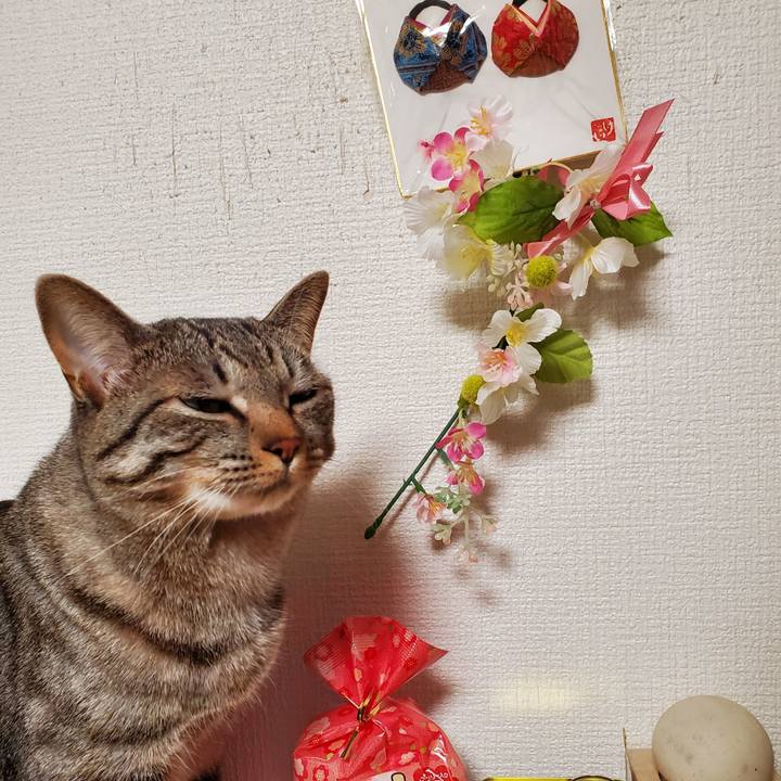 Dbc00194 f144 489d 818d ef99f841bcb1 1708790436584