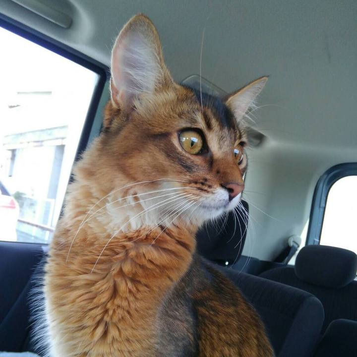 Dbc00e07 6c3c 49de a2d0 c09c3cfbeb81 1565580885004