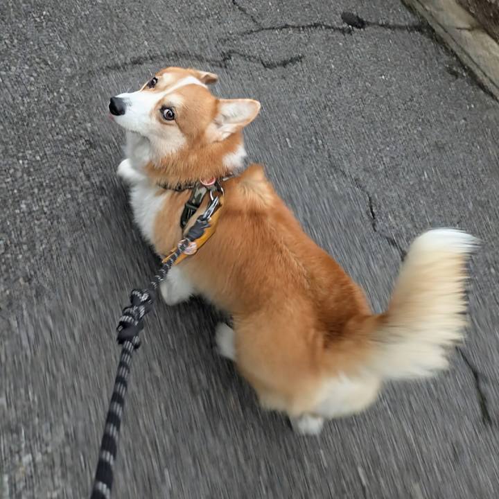 Dbc01ca6 63b5 4c8a 9498 92e3f7335628 1760950935517