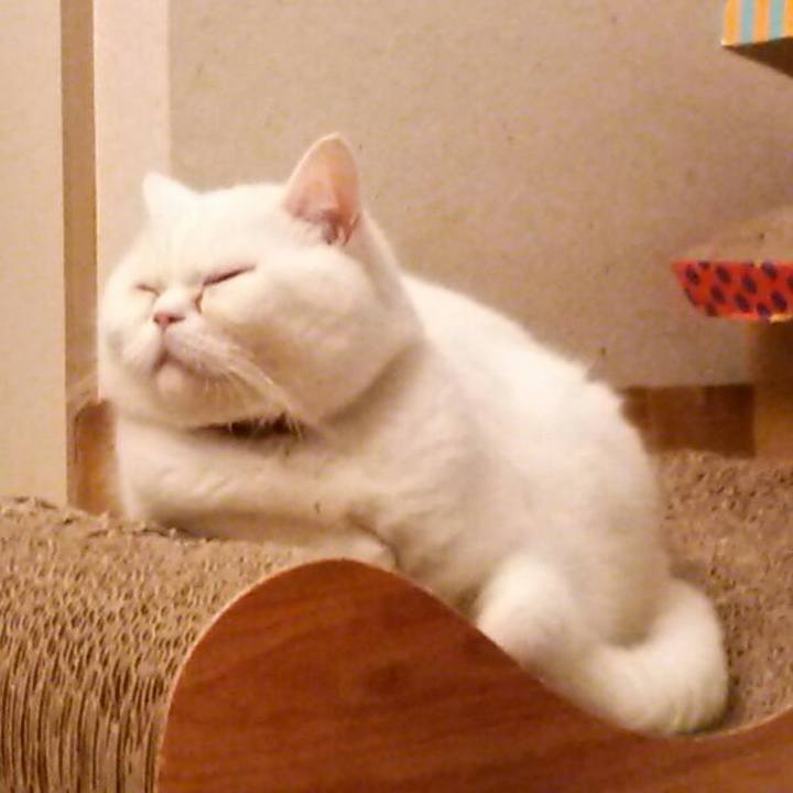 Dbc02eab c138 4943 bba8 27c85ed43e69 1516056267054