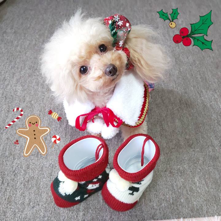 Dbc03392 e8fa 458c a36d 4303c5ba406d 1575460387936