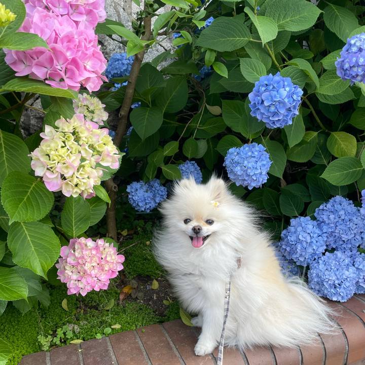 Dbc03762 cde1 4219 bc77 26cb26eee5a8 1622029243579