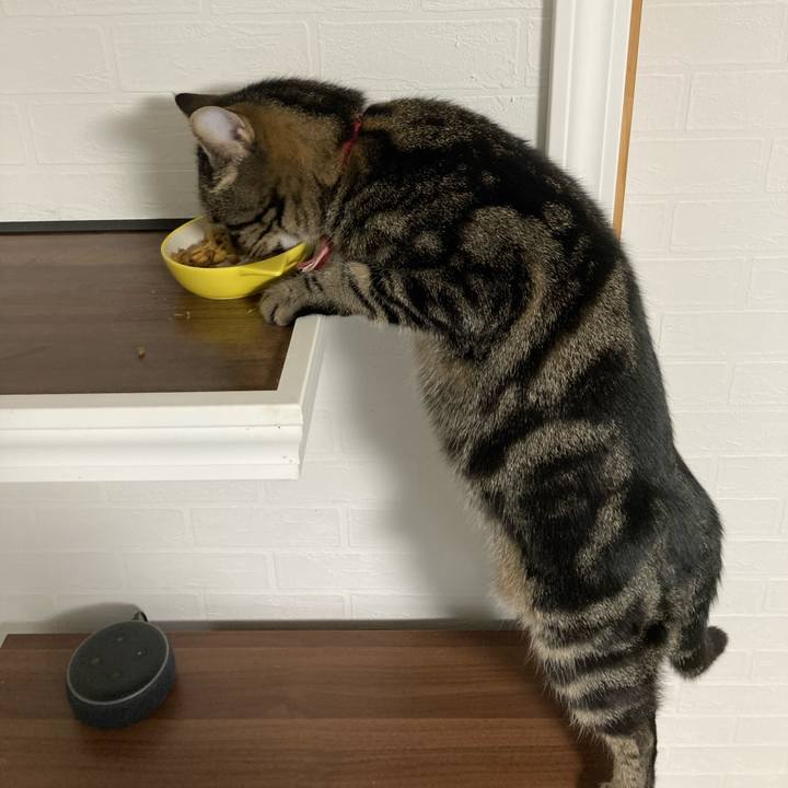 Dbc03831 8725 42d5 93a1 b58d9bb5be17 1637760037584