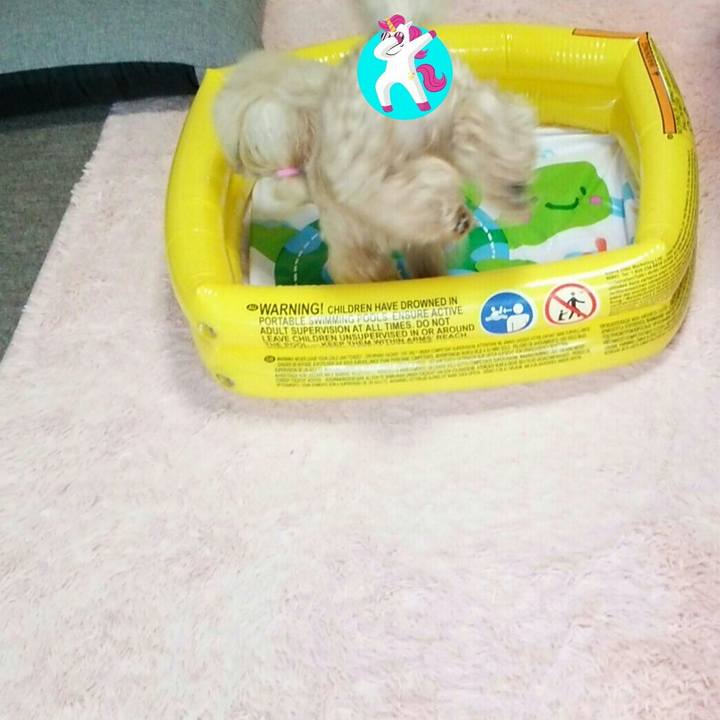 Dbc048f5 de25 4204 a310 dde3119ea56c 1559740019464